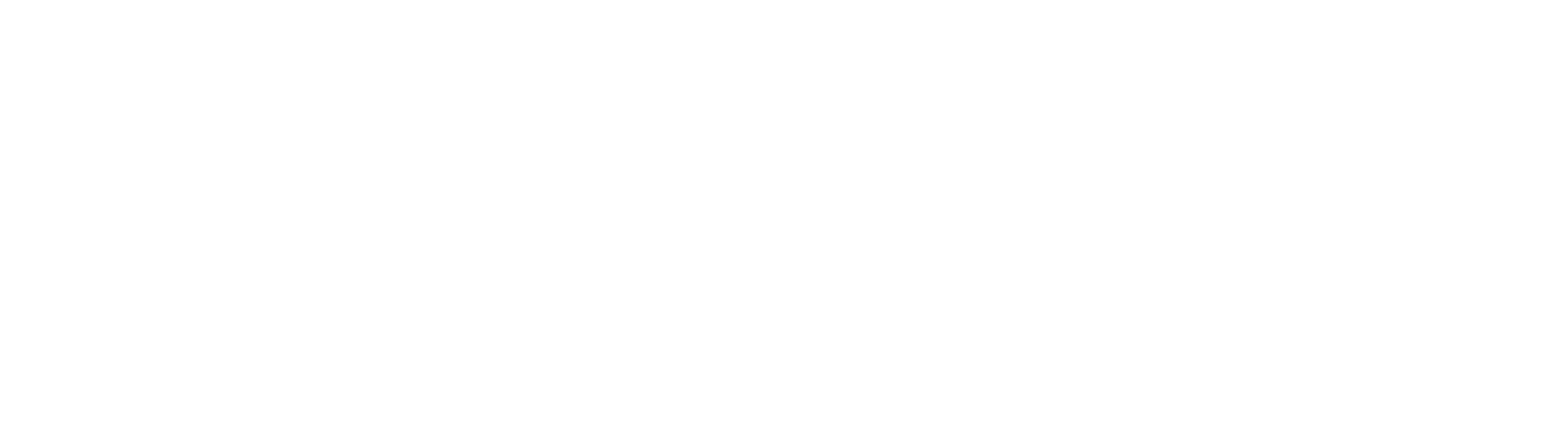 Care Solutions Group LLC